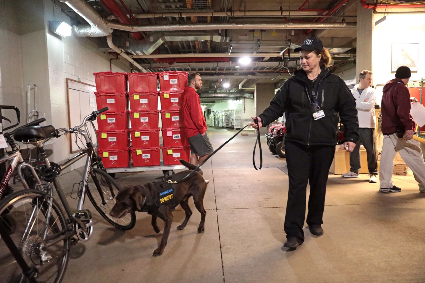 Cardinals pack up for spring training